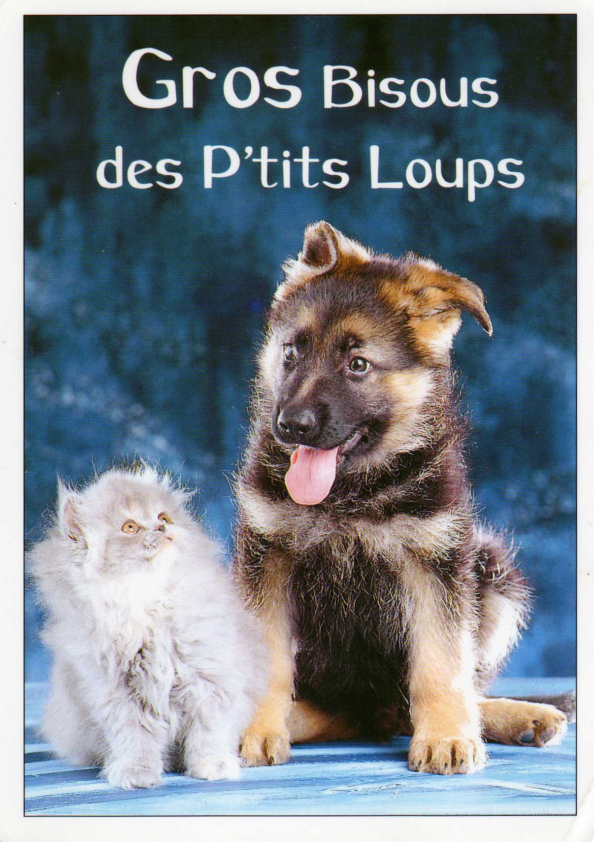 Gros Bisous Des P Tits Loups