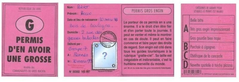 PERMIS D'AVOIR UNE GROSSE ...